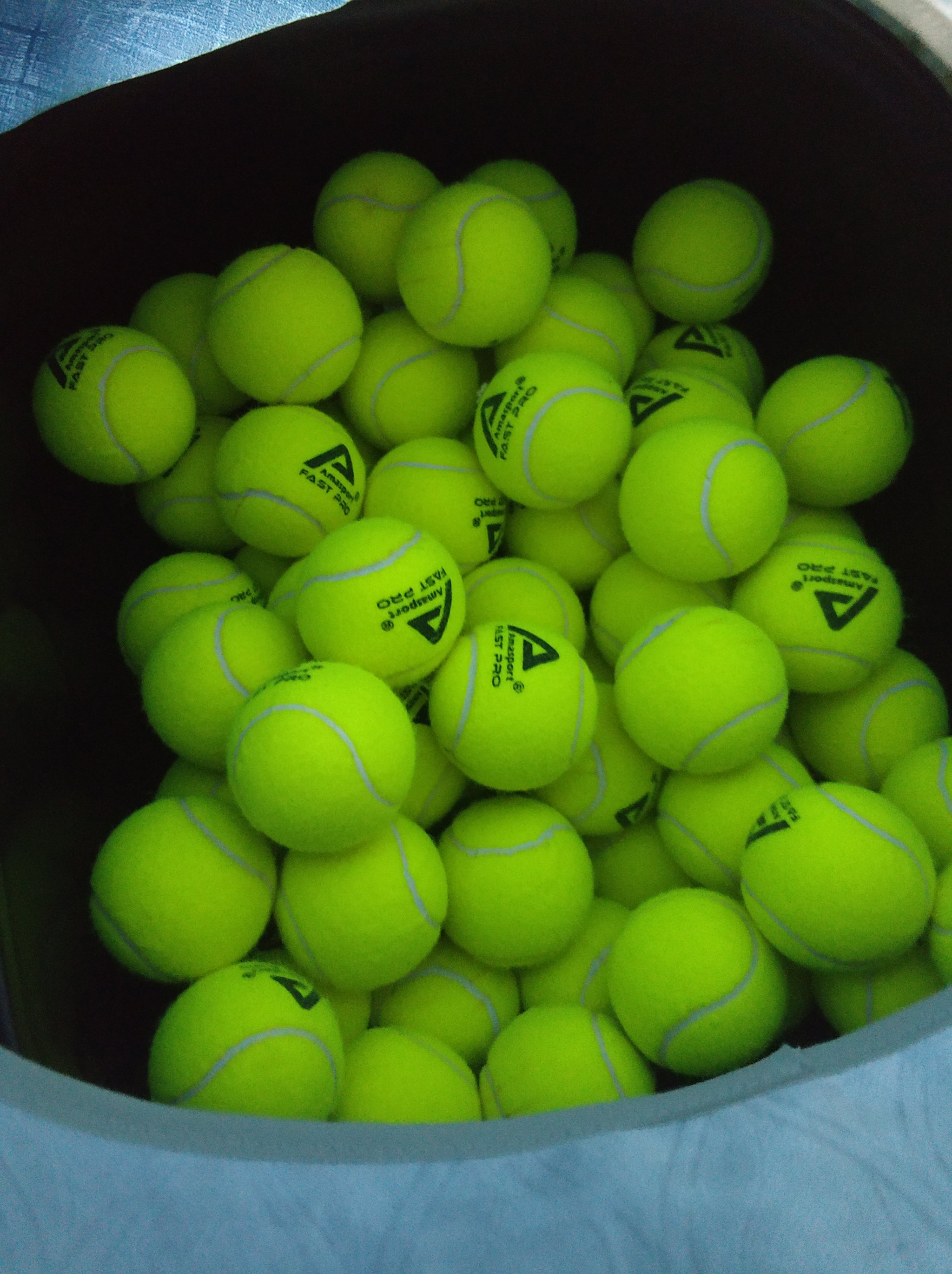 都有意将其 都有意将其