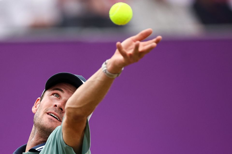 总的来说 总的来说